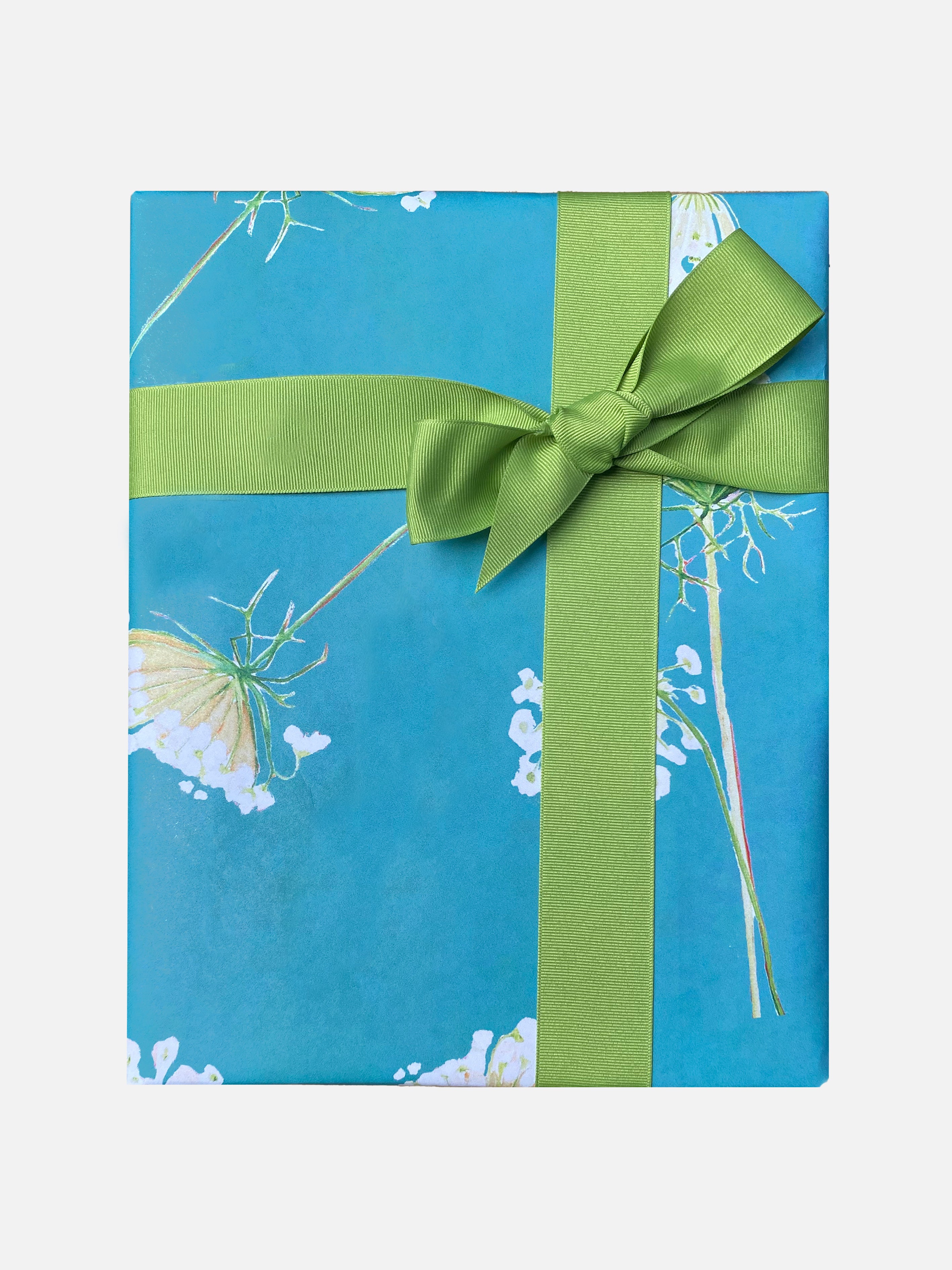 Gift Wrap:  Queen Anne's Lace on Teal