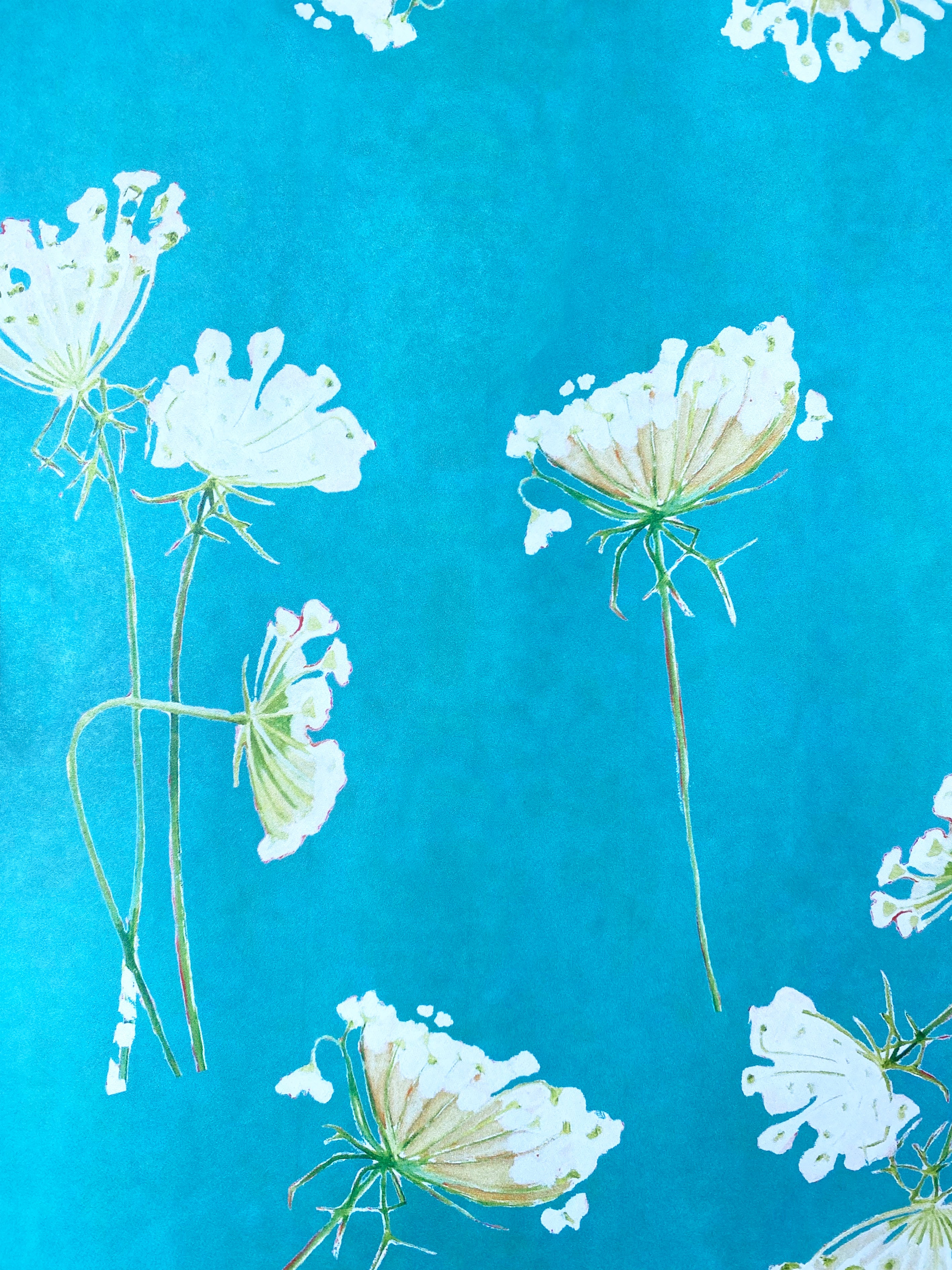 Gift Wrap:  Queen Anne's Lace on Teal
