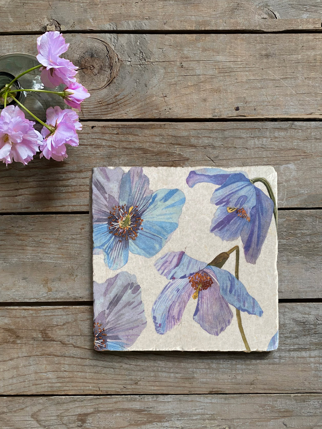 Trivet: Himalayan Blue Poppies on Ecru