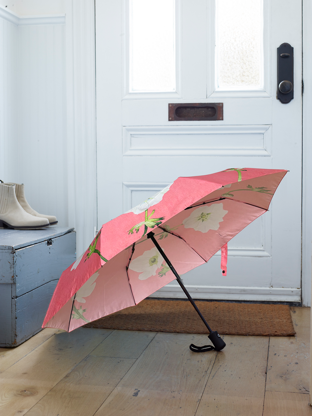 Umbrella:  White Anemone on Salmon