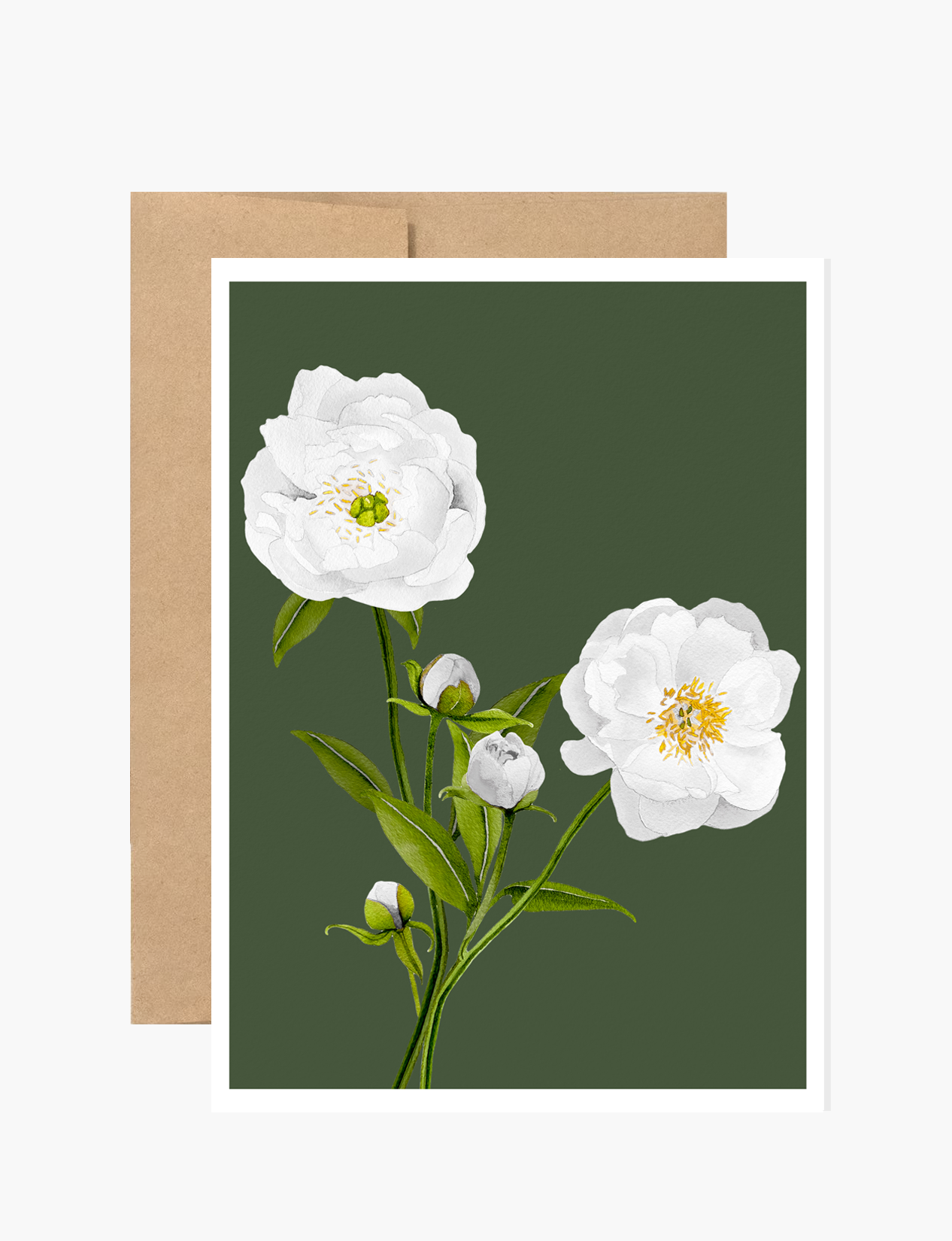 Notecard:  White Peonies on Olive