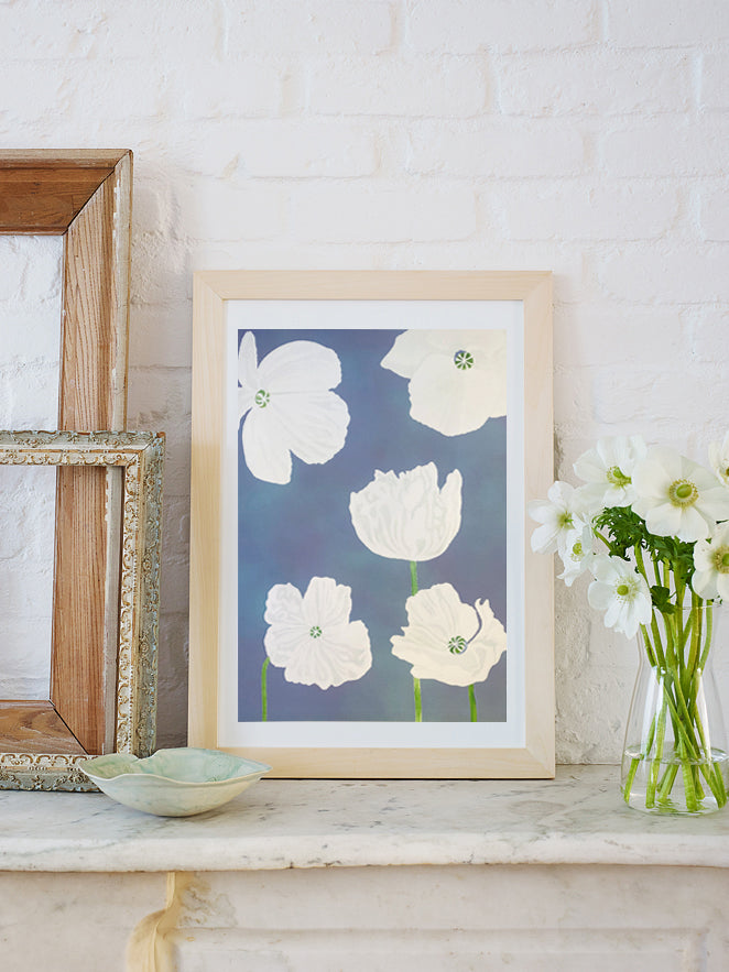 Art Print: White Poppies on Moody Blue