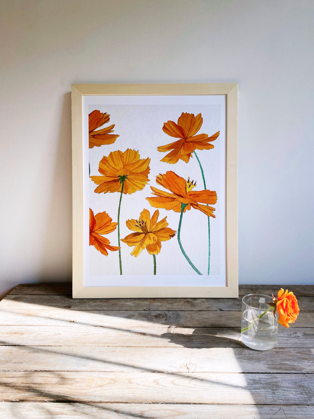 Art Print:  Orange Cosmos on Snow