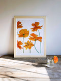 Art Print:  Orange Cosmos on Snow
