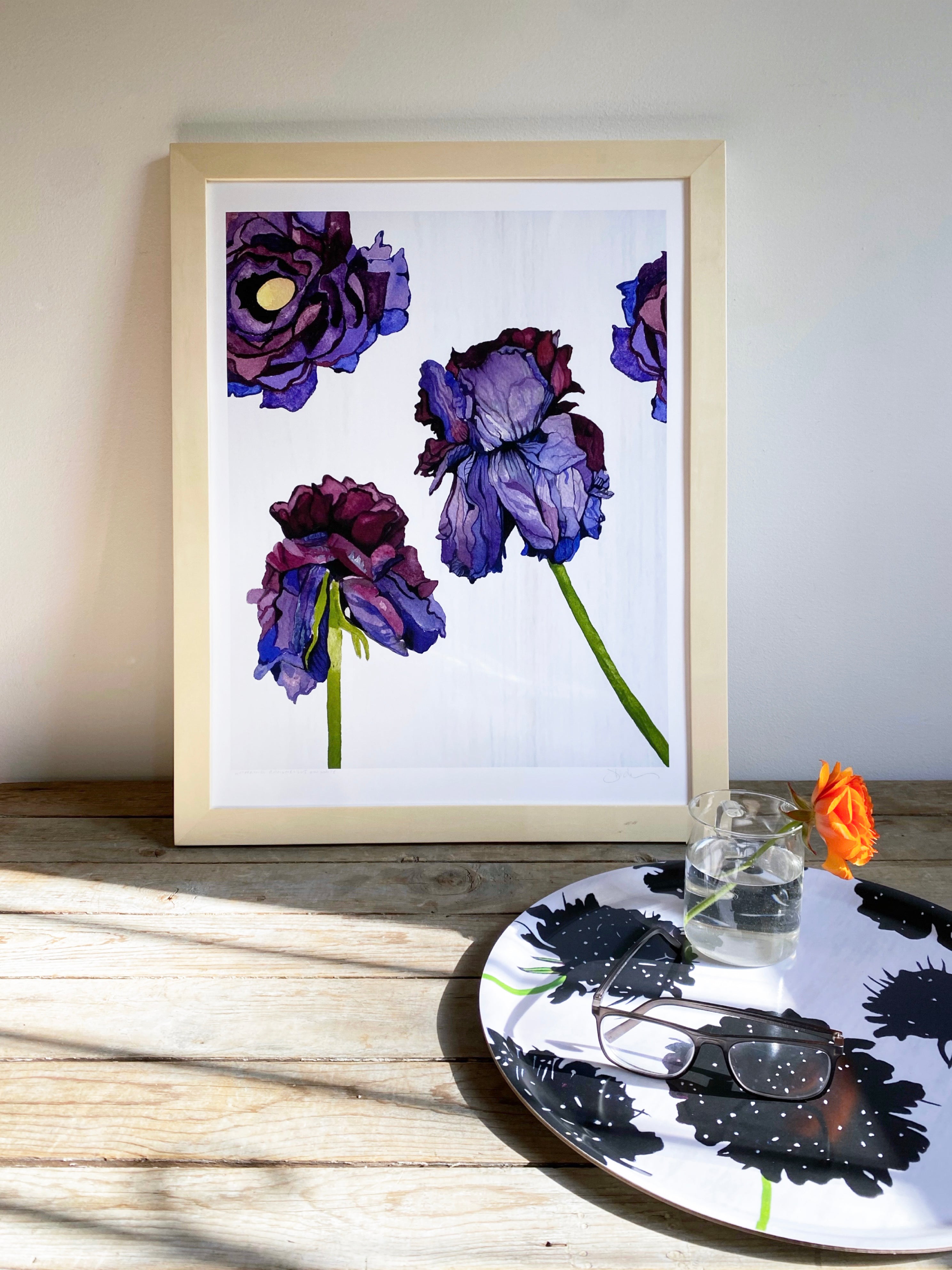 Art Print:  Withering Ranunculus on White