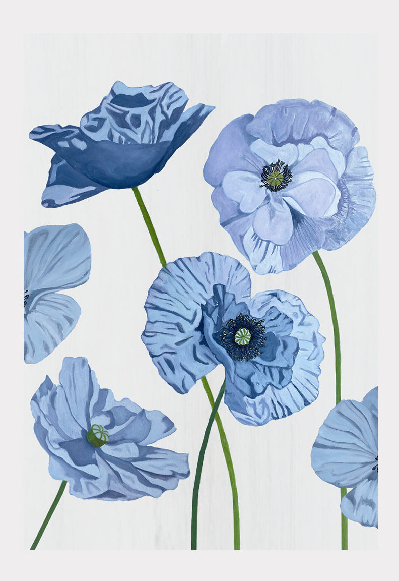 Art Print:  Blue Poppies on Pale Grey
