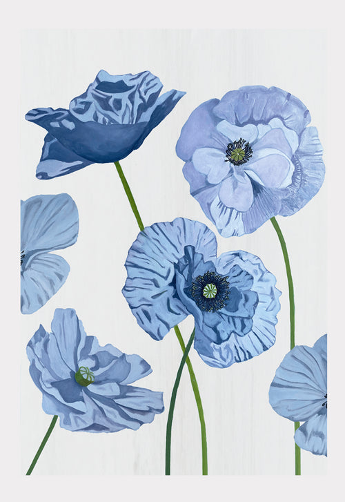 Art Print:  Blue Poppies on Pale Grey