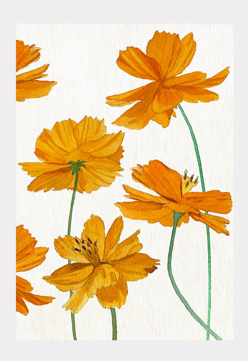 Art Print:  Orange Cosmos on Snow