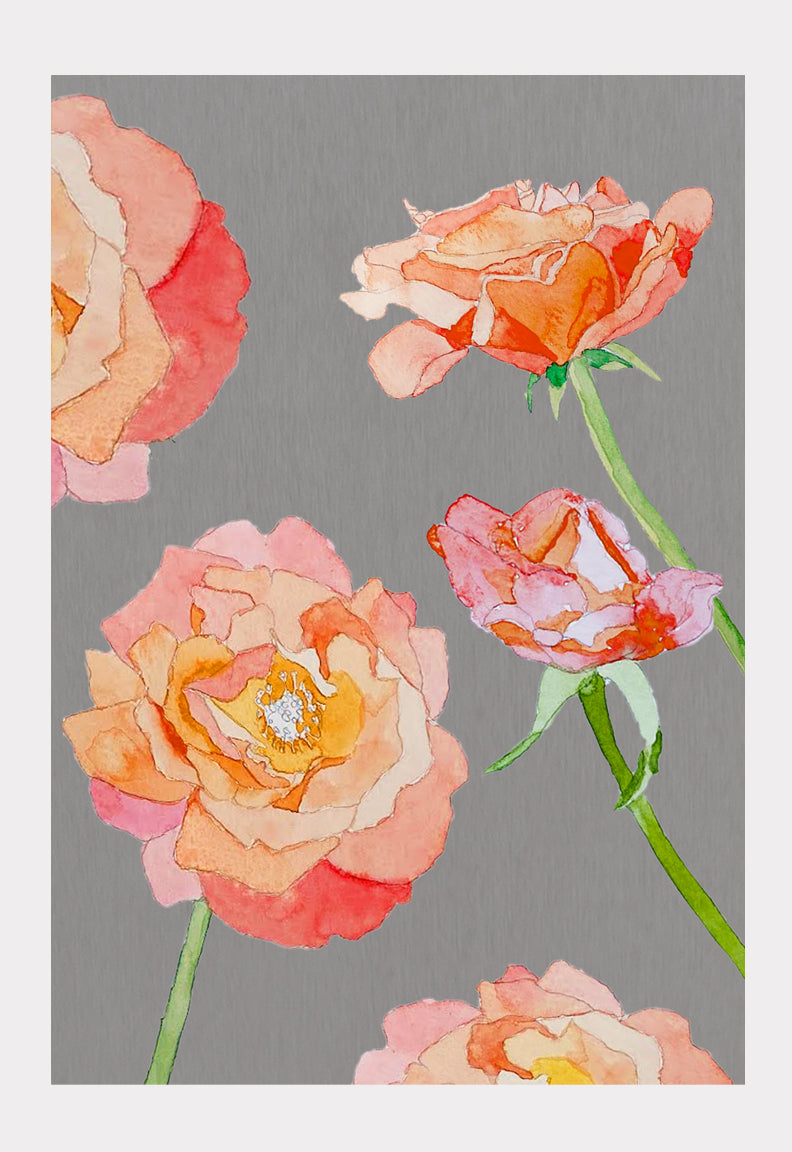 Art Print:  Peach Roses on Grey