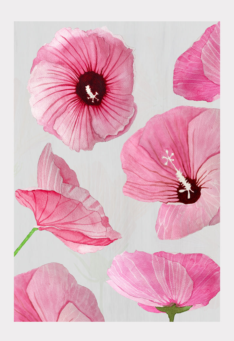Art Print:  Pink Rose of Sharon on Taupe