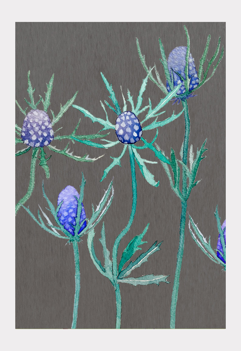 Art Print:  Purple Thistle on Grey