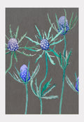 Art Print:  Purple Thistle on Grey