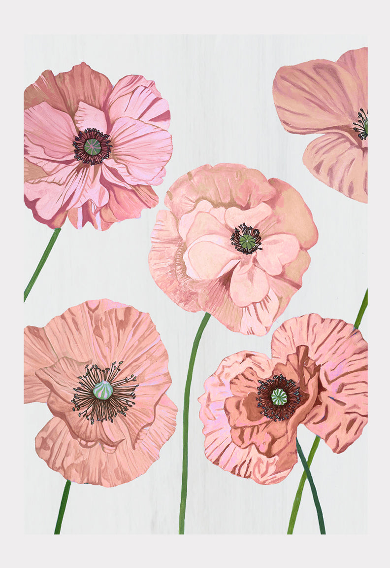 Art Print:  Rose Poppies on Pale Grey