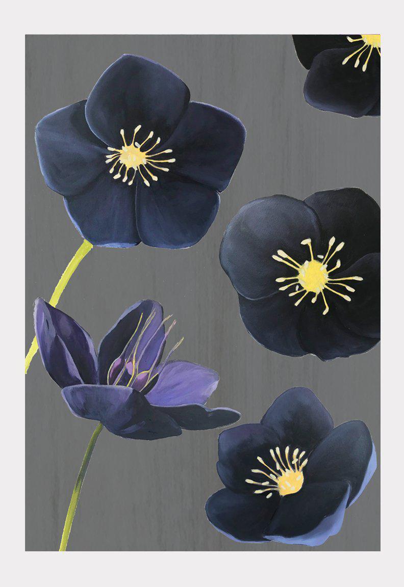 Art Print: Black Hellebore on Charcoal-India & Purry
