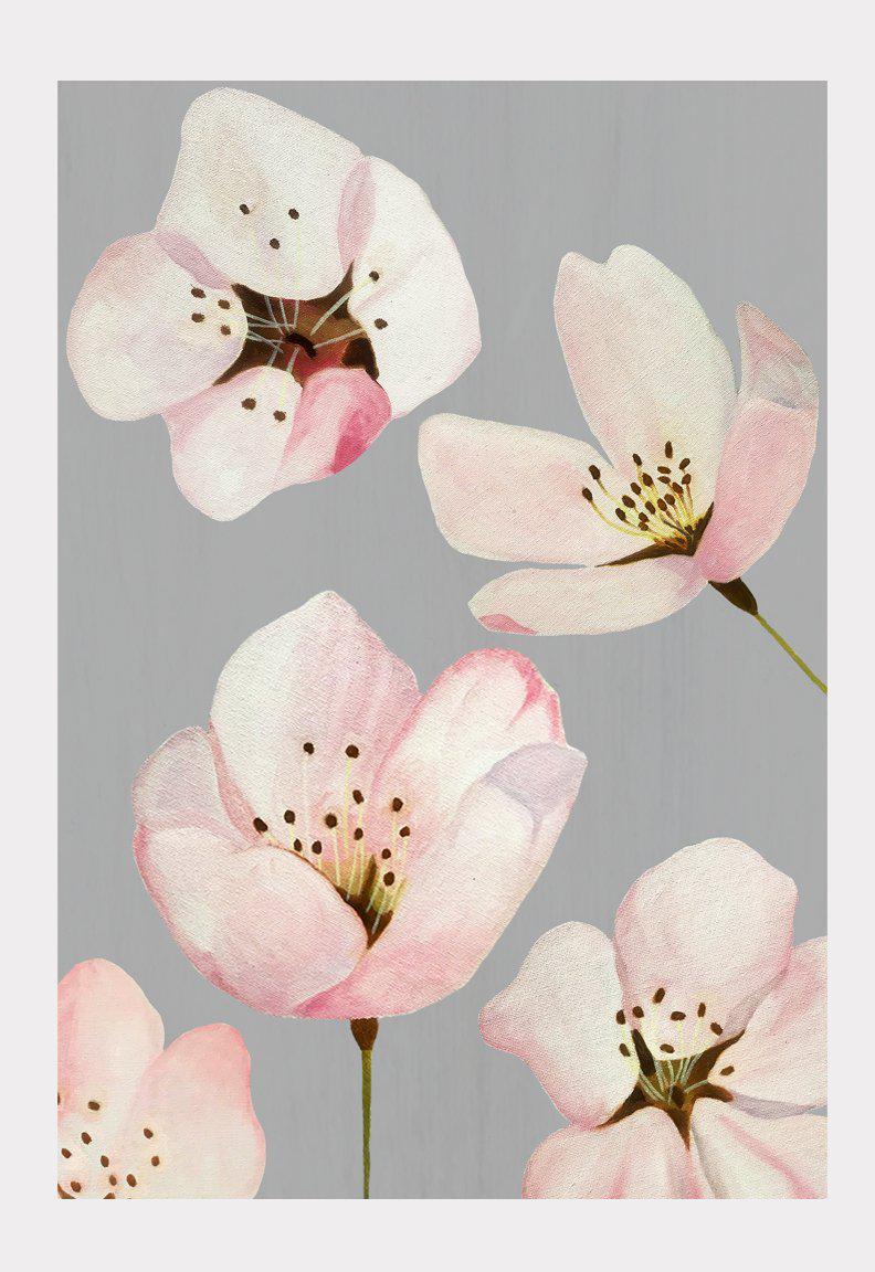 Art Print: Cherry Blossoms on Grey-India & Purry