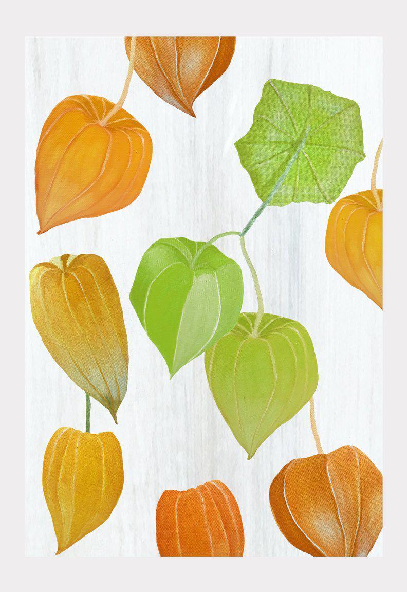 Art Print: Chinese Lanterns on Snow-India & Purry