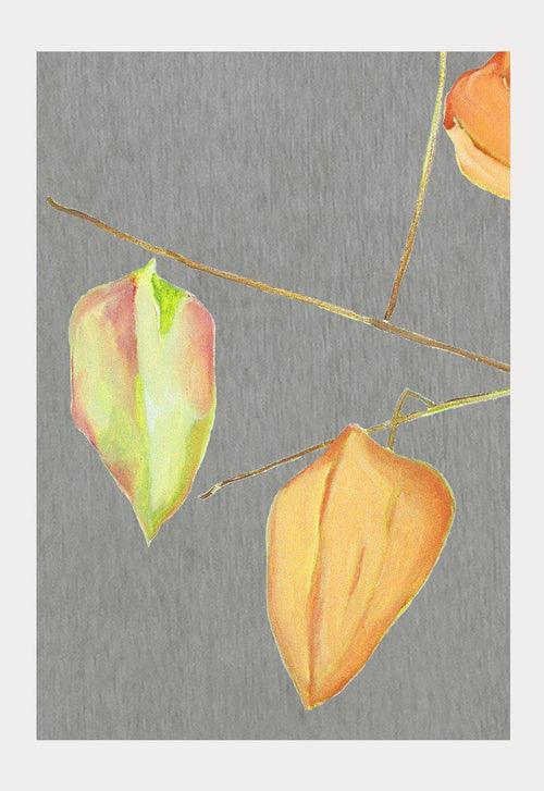 Art Print: Lanterns on Grey-India & Purry
