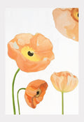 Art Print: Peach Poppies on Snow-India & Purry