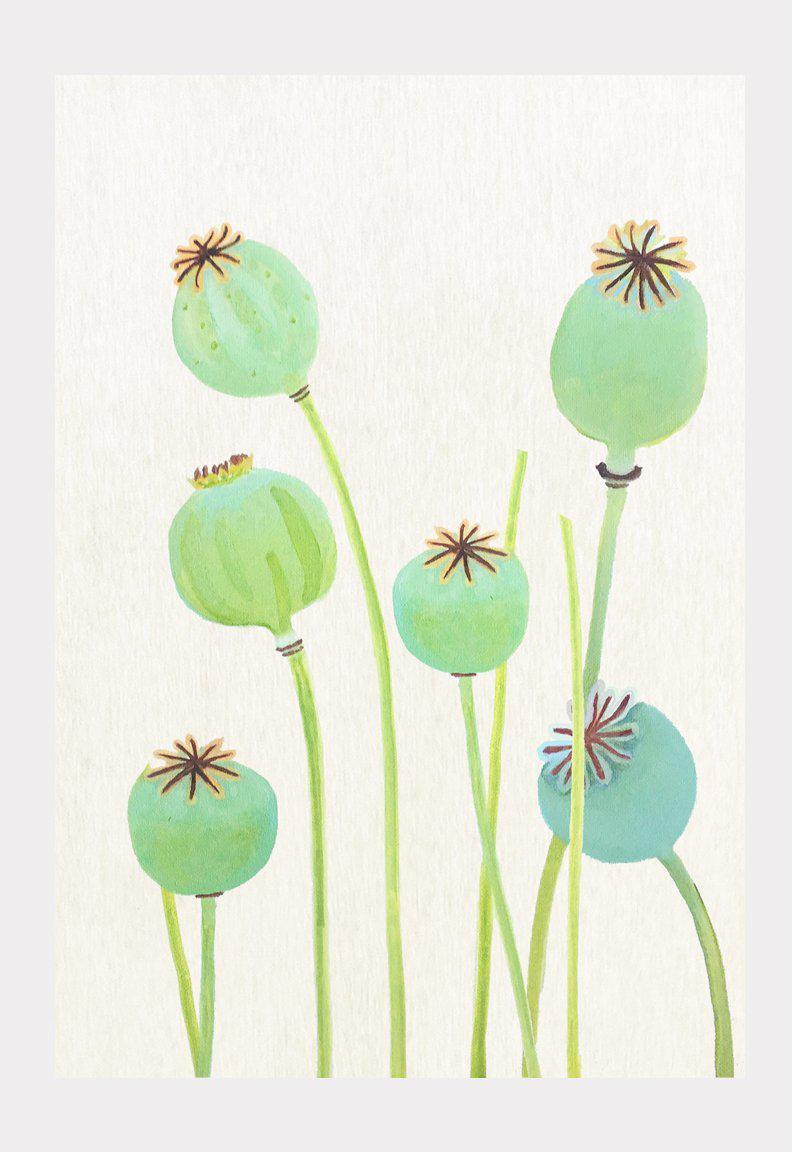 Art Print: Poppy Pods on Ecru-India & Purry