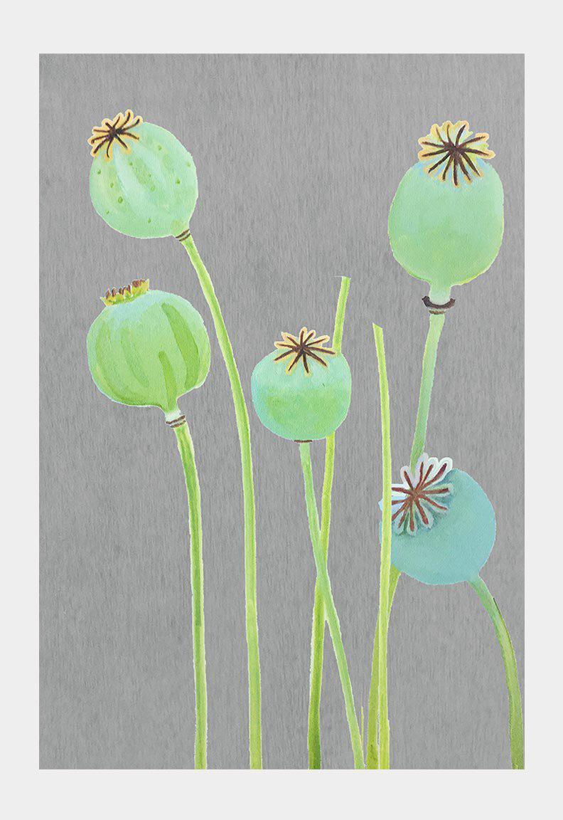 Art Print: Poppy Pods on Grey-India & Purry