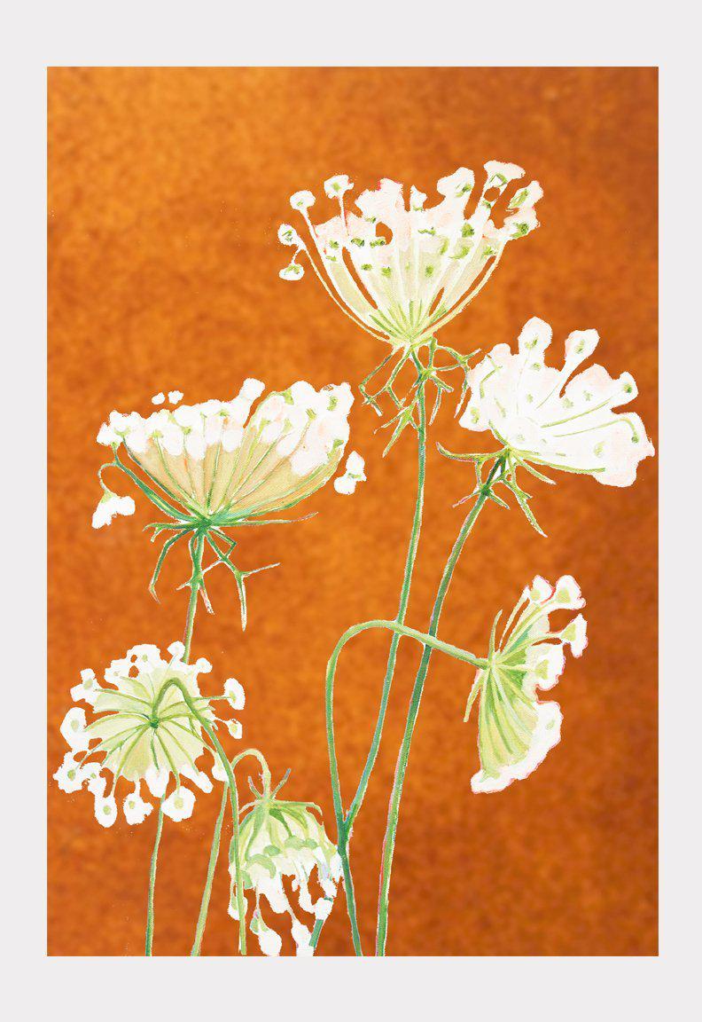 Art Print: Queen Anne's Lace on Rusty Orange-India & Purry