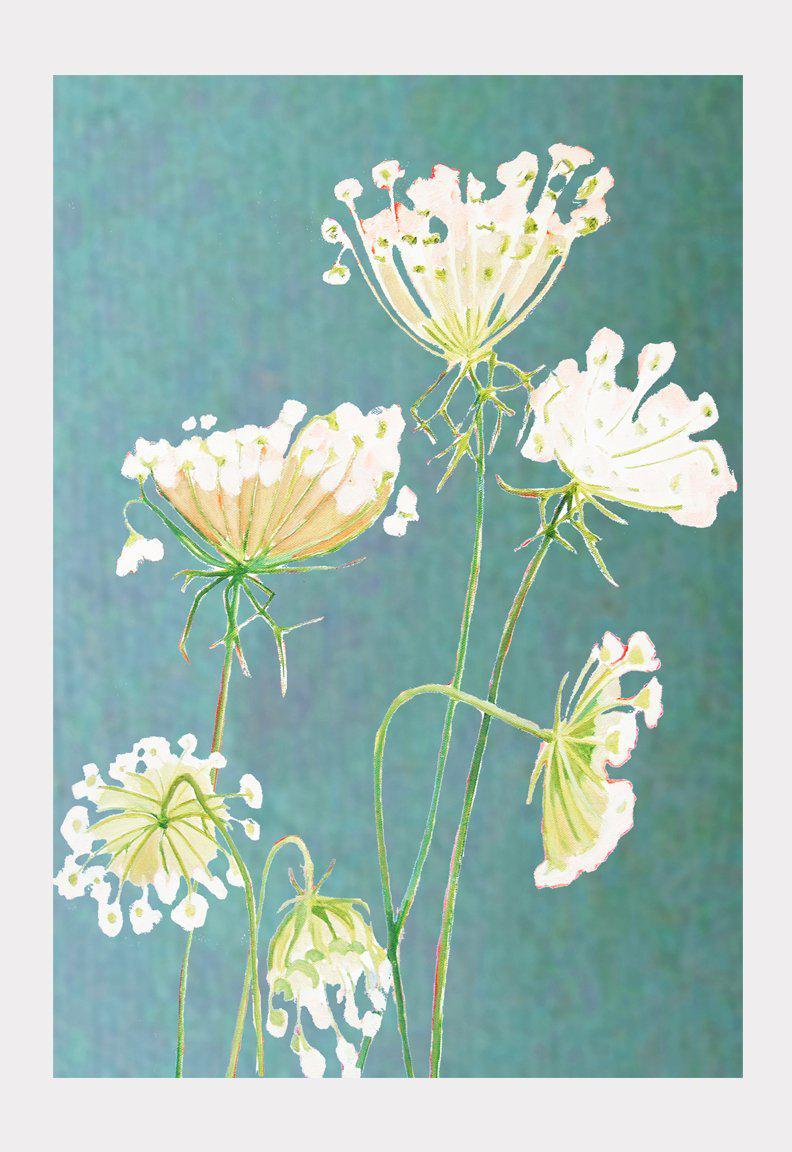 Art Print: Queen Anne's Lace on Teal-India & Purry