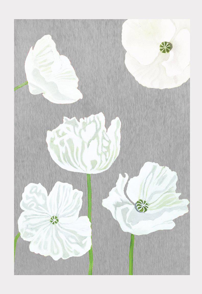 Art Print: White Poppies on Grey-India & Purry