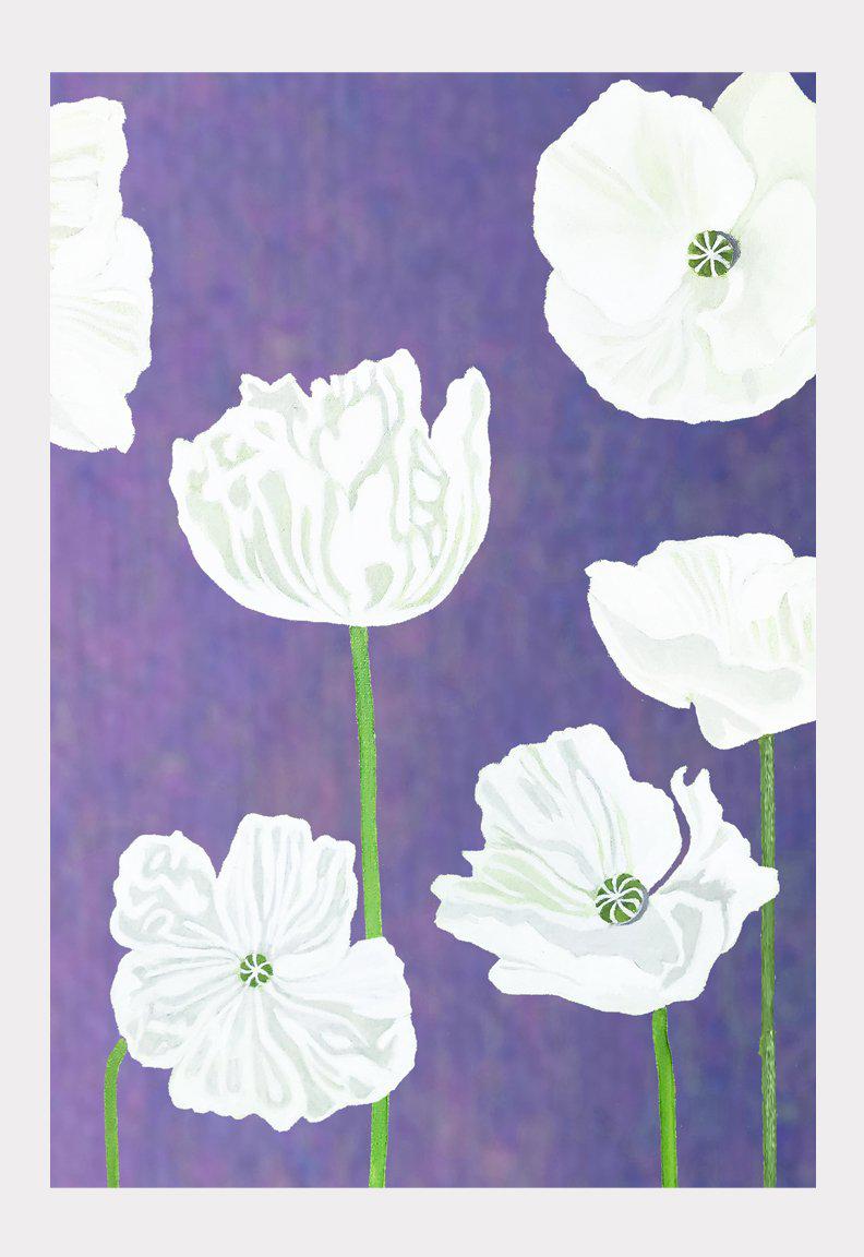 Art Print: White Poppies on Violet-India & Purry