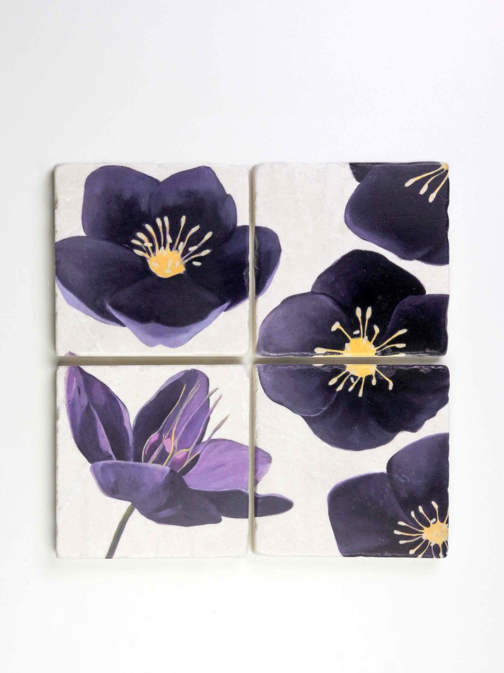 Coaster Set: Black Hellebore on Snow-India & Purry