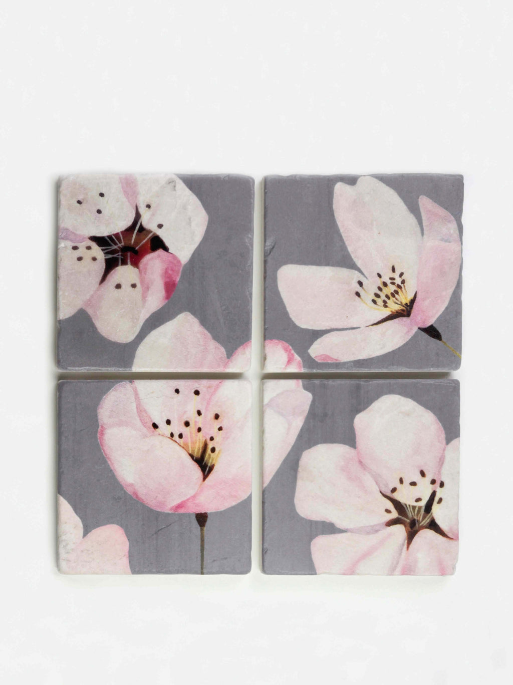 Coaster Set: Cherry Blossoms on Grey-India & Purry