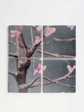Coaster Set: Tree with Pink Flowers on Dark Grey-India & Purry