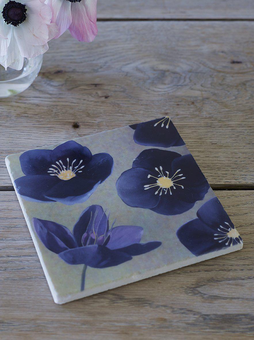 Trivet: Black Hellebore on Green-India & Purry