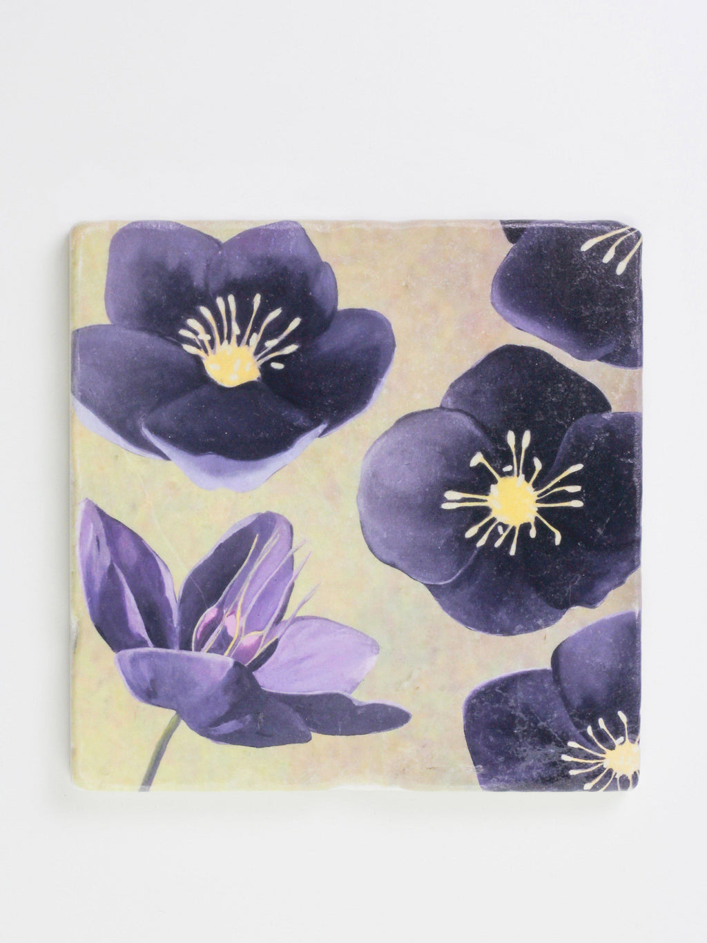 Trivet: Black Hellebore on Green-India & Purry