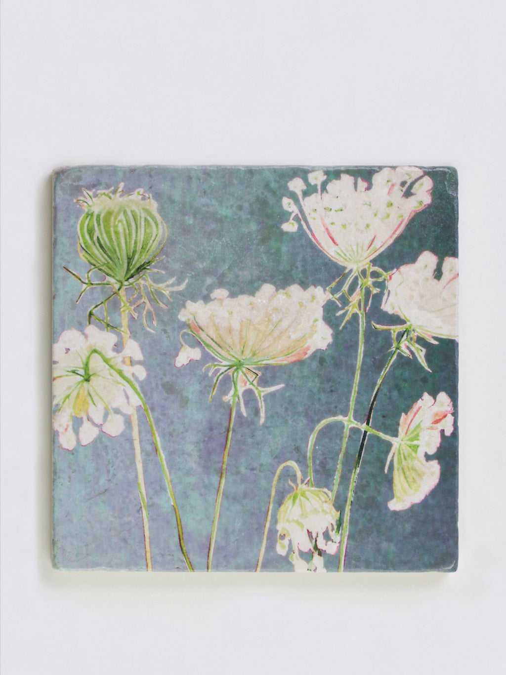 Trivet: Queen Anne's Lace on Teal-India & Purry